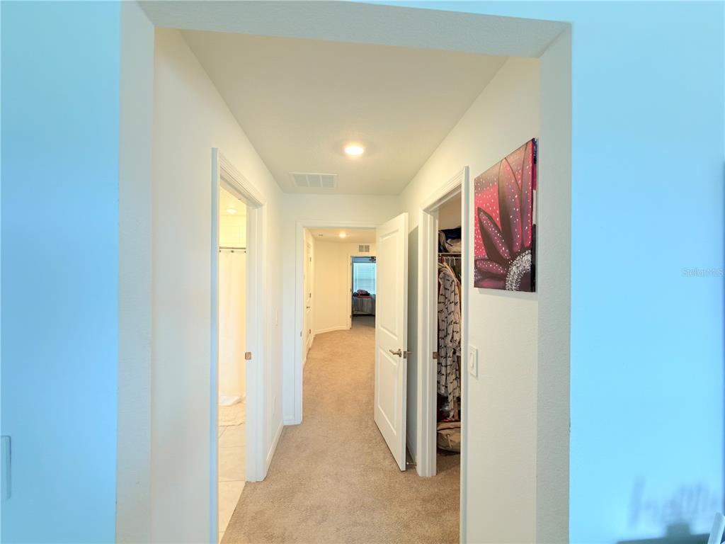 253 Tulip Banded Way Ruskin, FL 33570 - Photo 19 of 20 a view of a hallway with wooden shelves