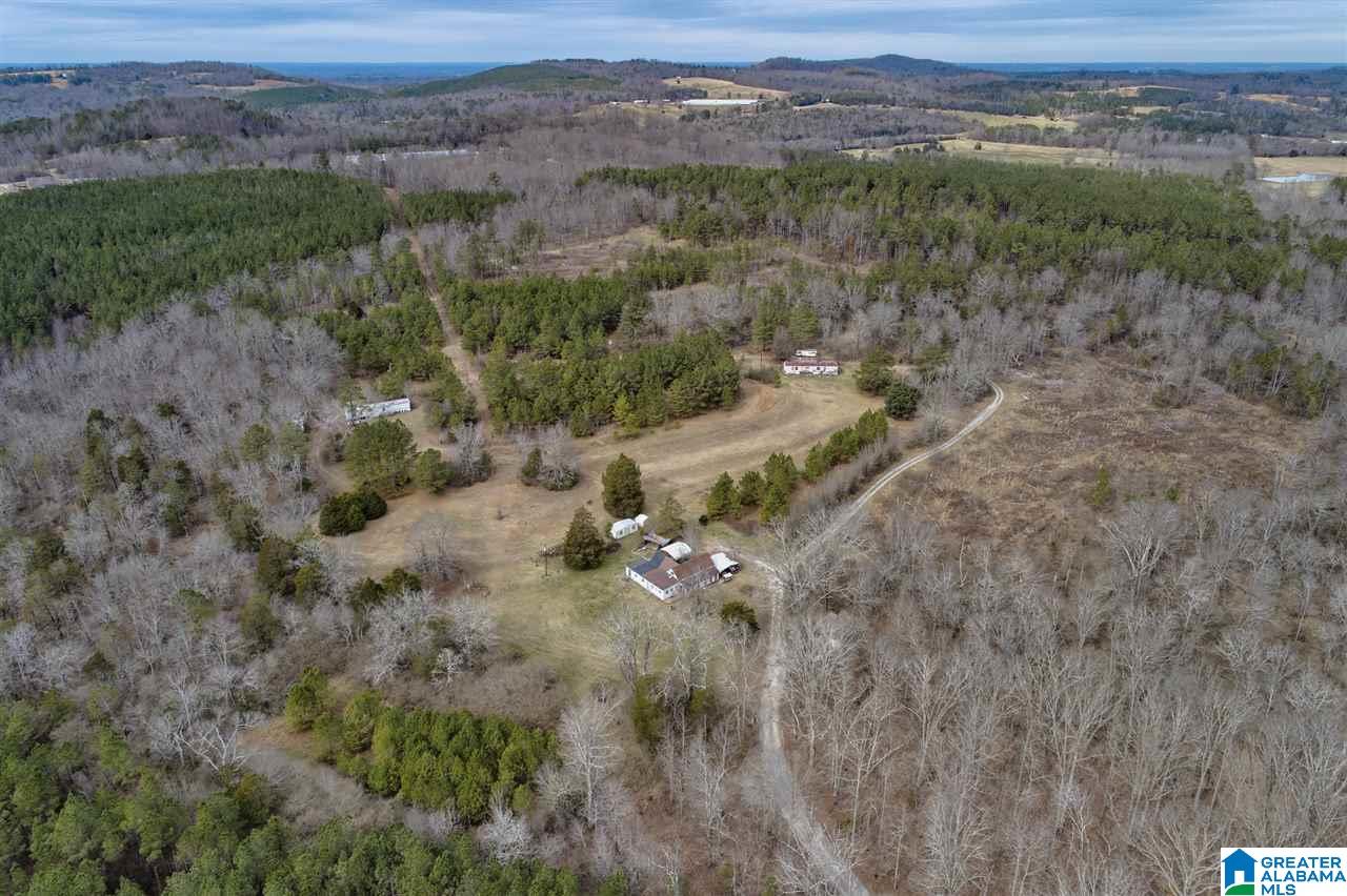 620 Chief Albert Road Blountsville, AL 35031 - Photo 2 of 15