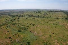 Tbd East 1420 Road Mangum, OK 73571 - Photo 12 of 40 a view of a field with trees in the background