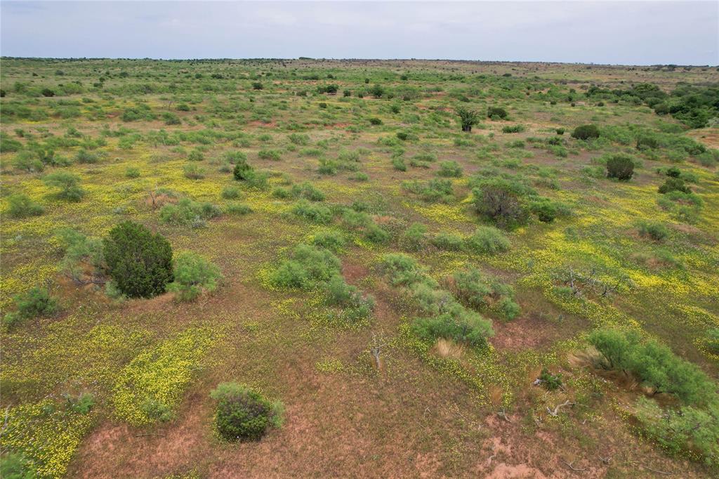 Tbd East 1420 Road Mangum, OK 73571 - Photo 14 of 40