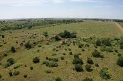 a view of a field with an ocean