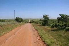 a view of a yard with an outdoor space