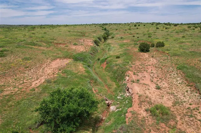 a view of a field with an ocean