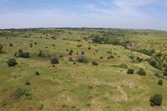 Tbd East 1420 Road Mangum, OK 73571 - Photo 29 of 40