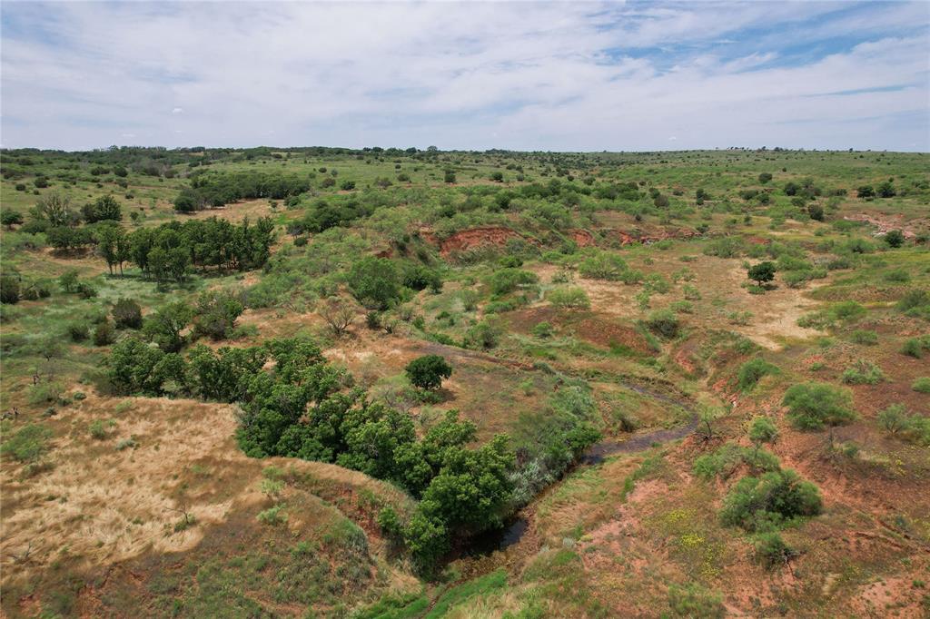Tbd East 1420 Road Mangum, OK 73571 - Photo 39 of 40 a view of a bunch of trees and bushes