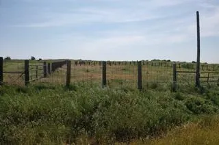 a view of a field with trees in the background