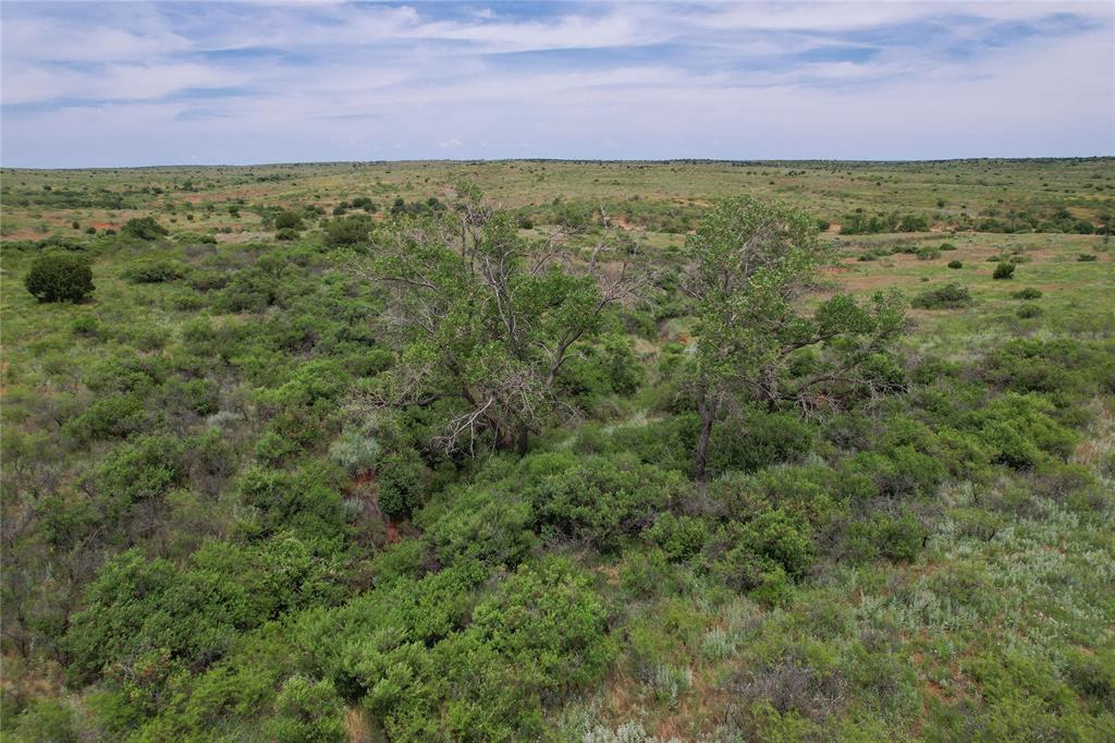 Tbd East 1420 Road Mangum, OK 73571 - Photo 9 of 40