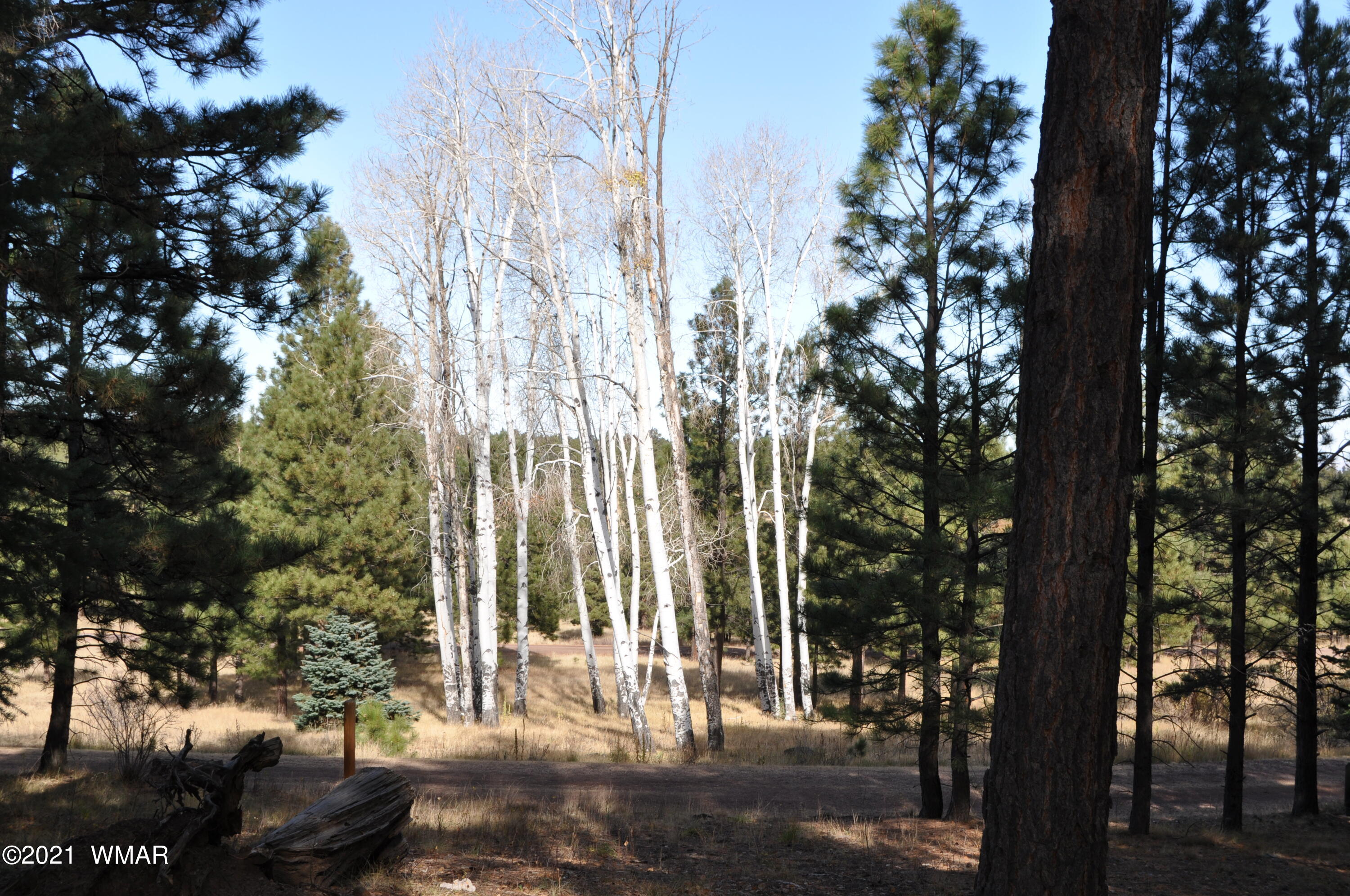 30 County Road Greer, AZ 85927 - Photo 2 of 29