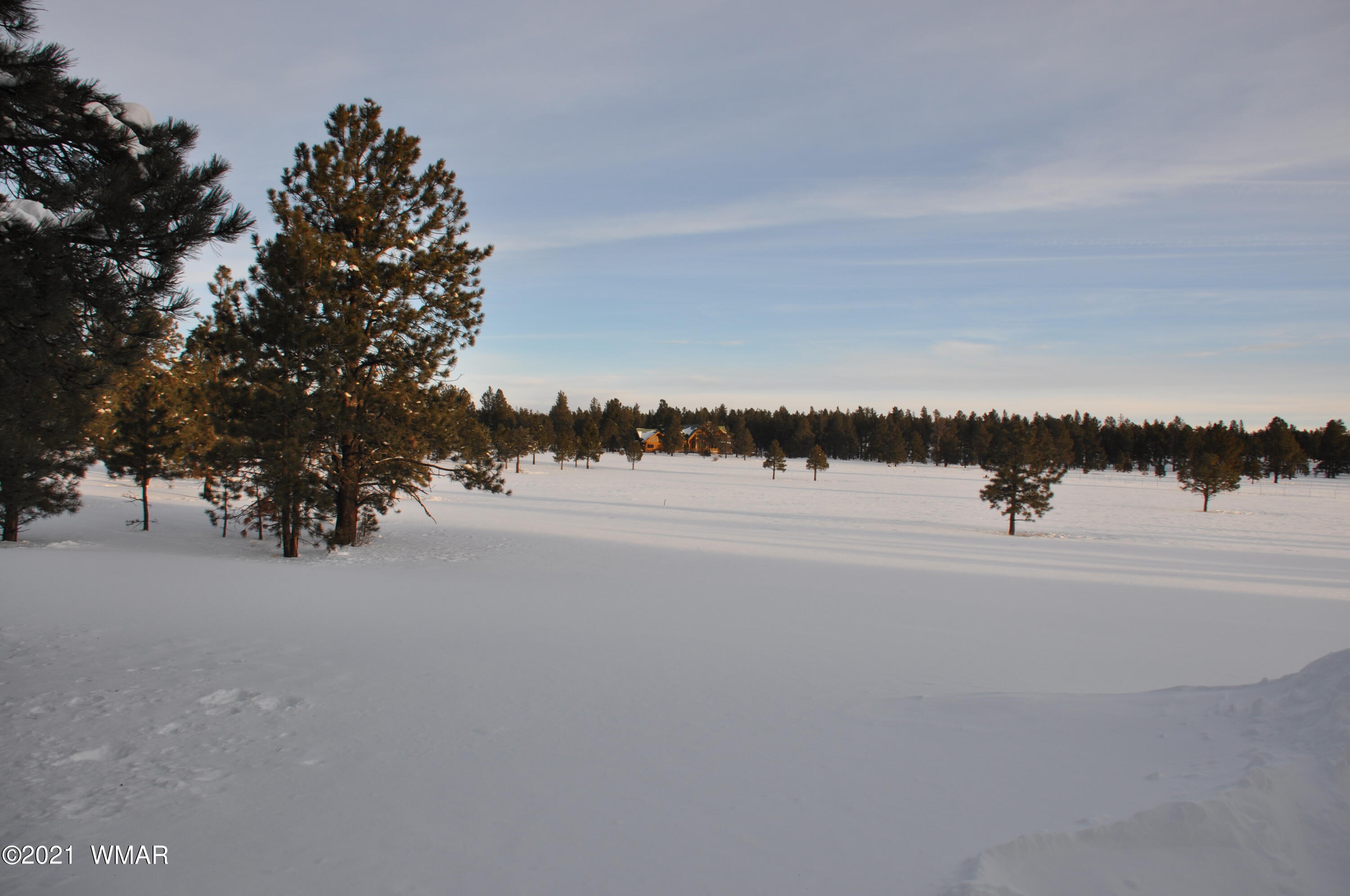 30 County Road Greer, AZ 85927 - Photo 21 of 29