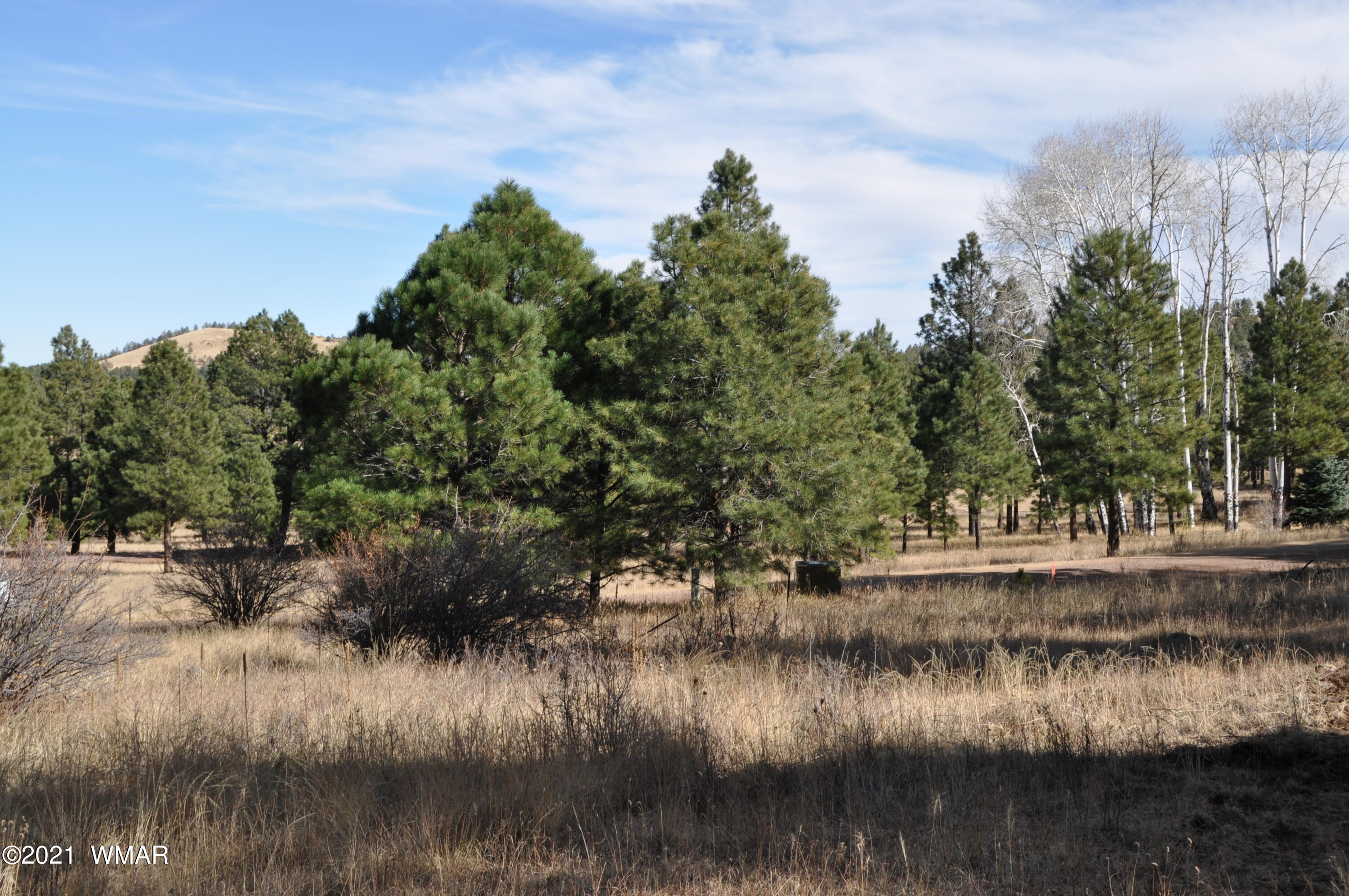 30 County Road Greer, AZ 85927 - Photo 4 of 29