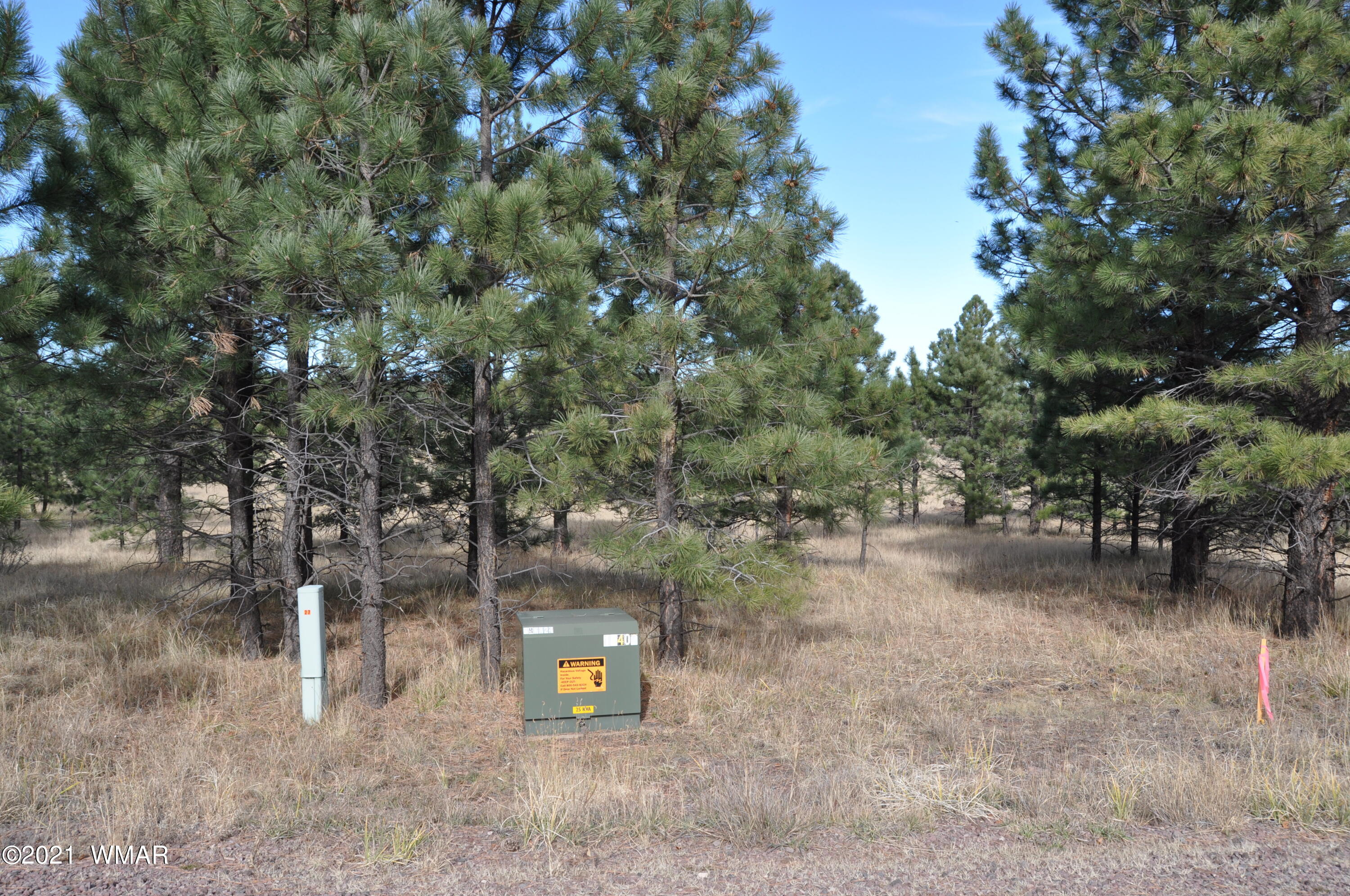 30 County Road Greer, AZ 85927 - Photo 6 of 29