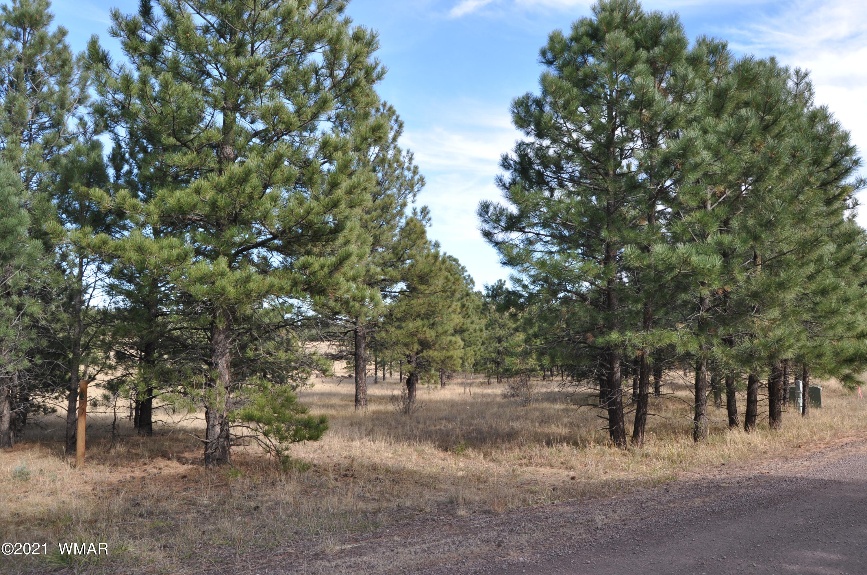 30 County Road Greer, AZ 85927 - Photo 7 of 29