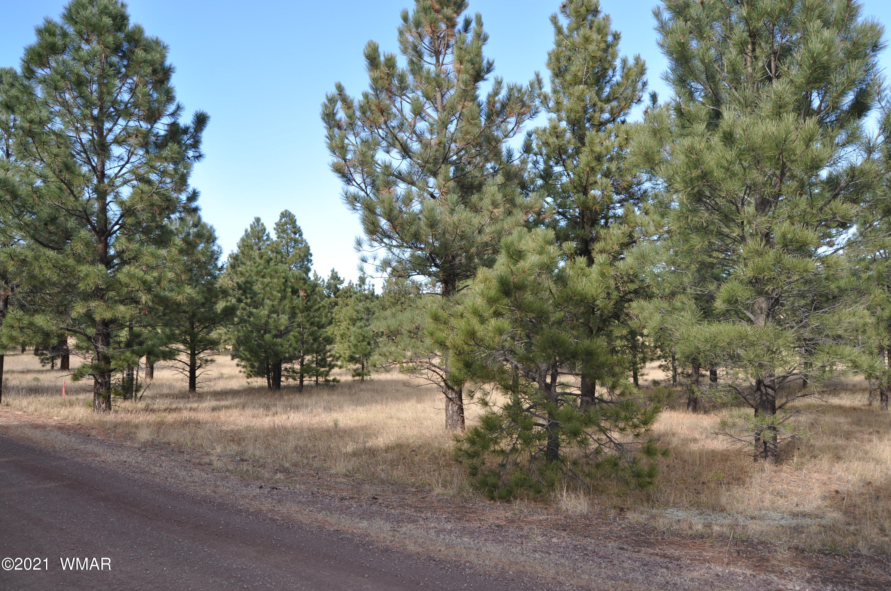 30 County Road Greer, AZ 85927 - Photo 8 of 29
