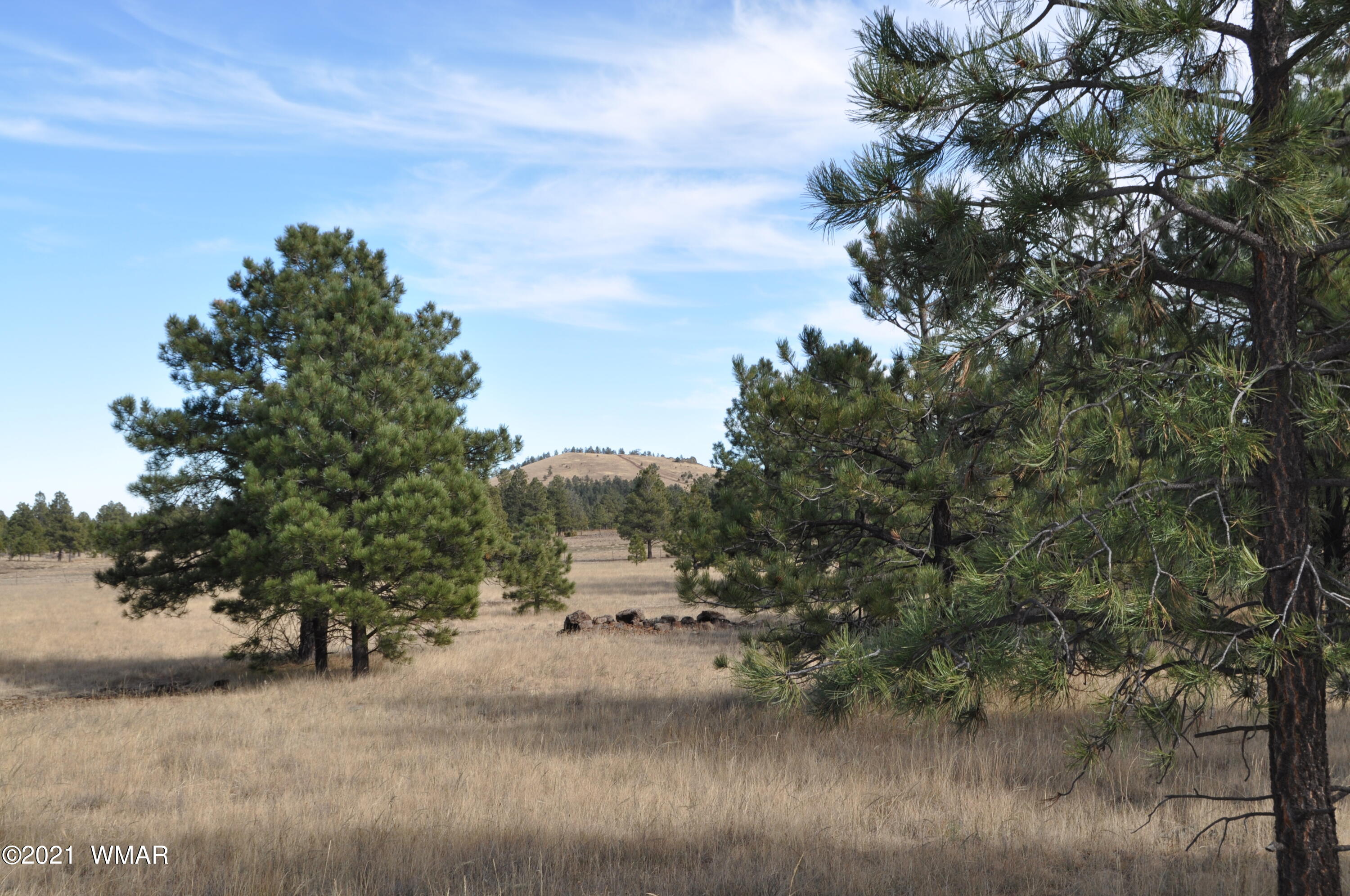 30 County Road Greer, AZ 85927 - Photo 9 of 29