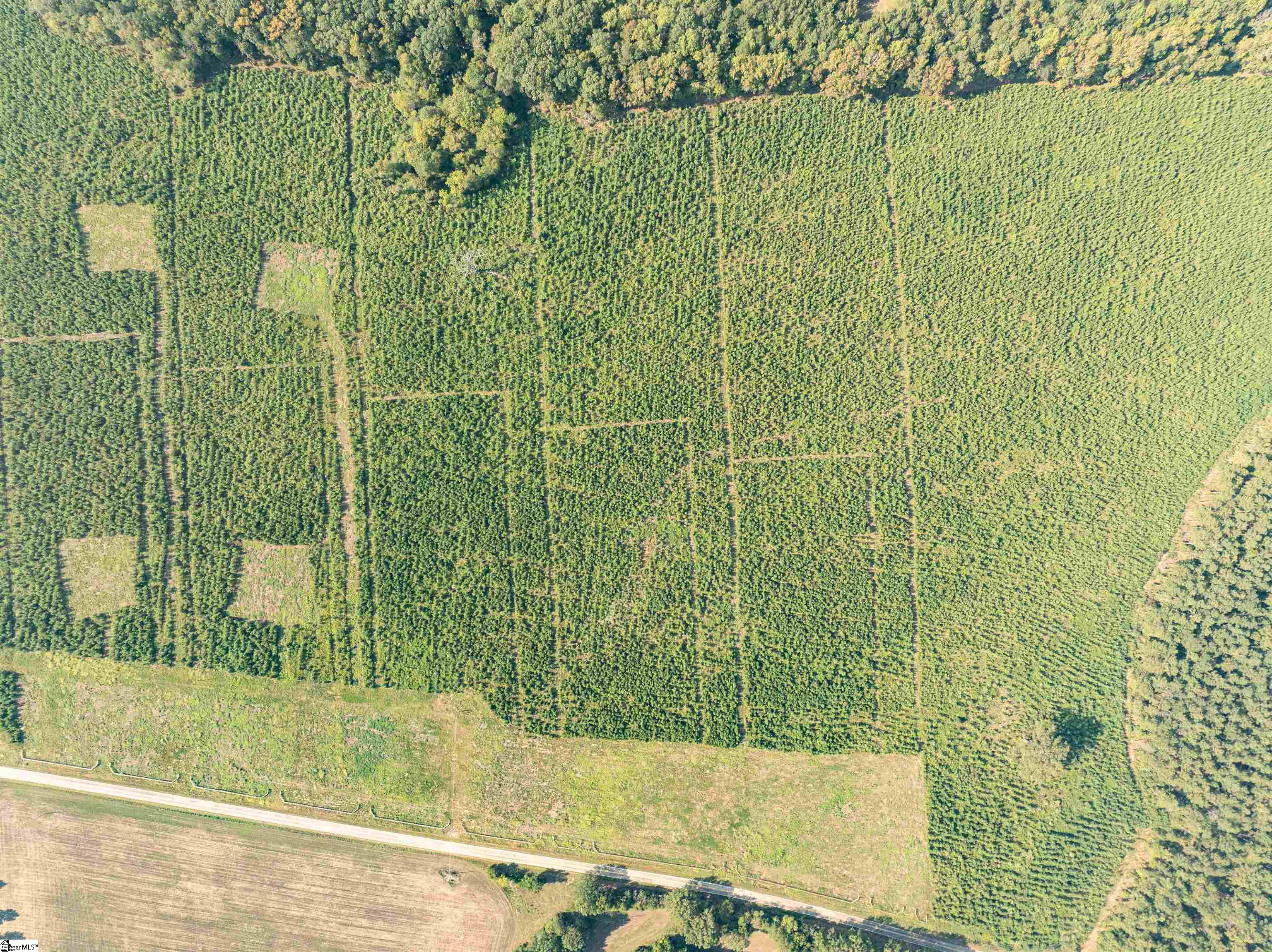 9 Young Road Clinton, SC 29325 - Photo 16 of 23