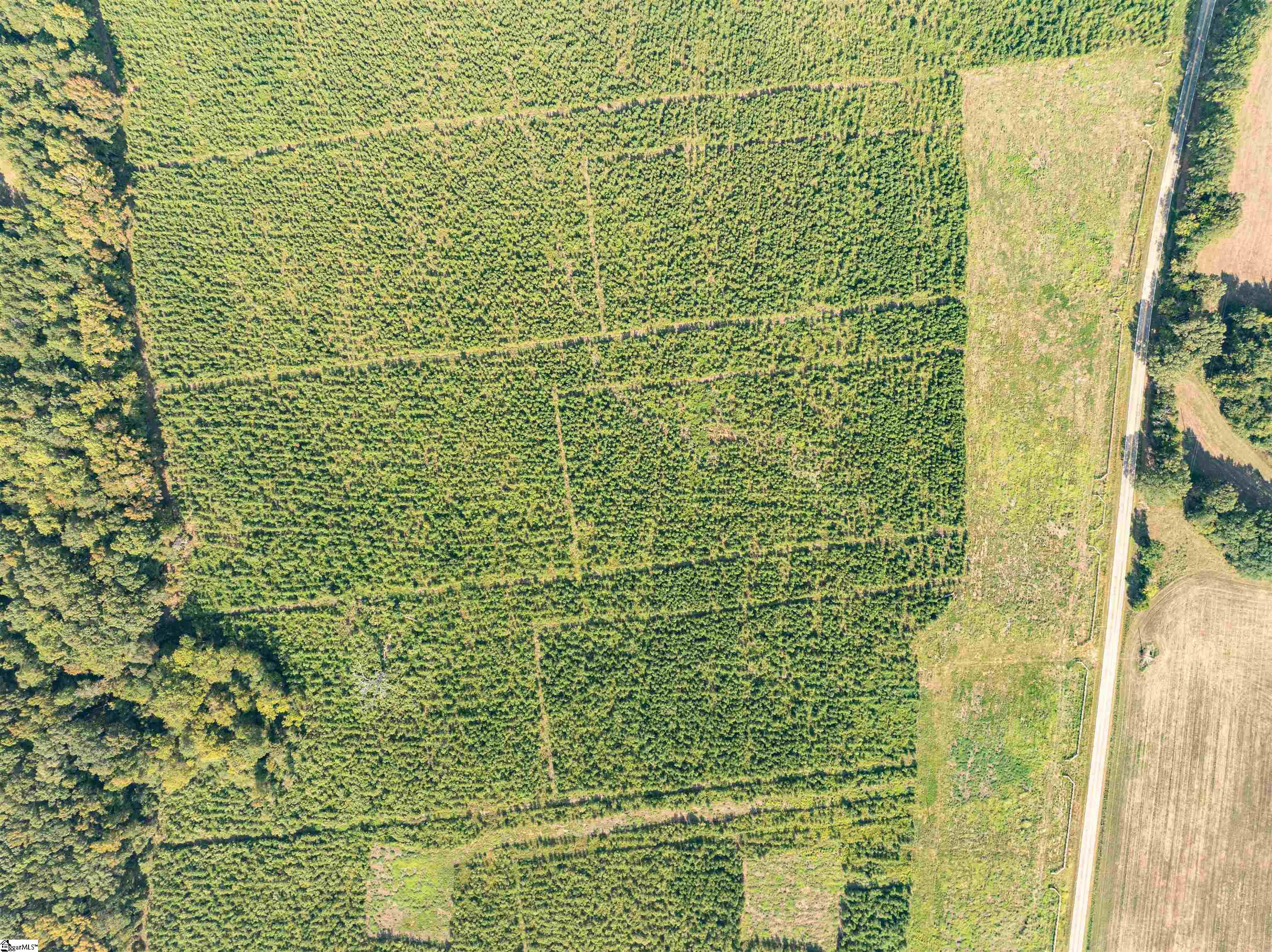 9 Young Road Clinton, SC 29325 - Photo 18 of 23