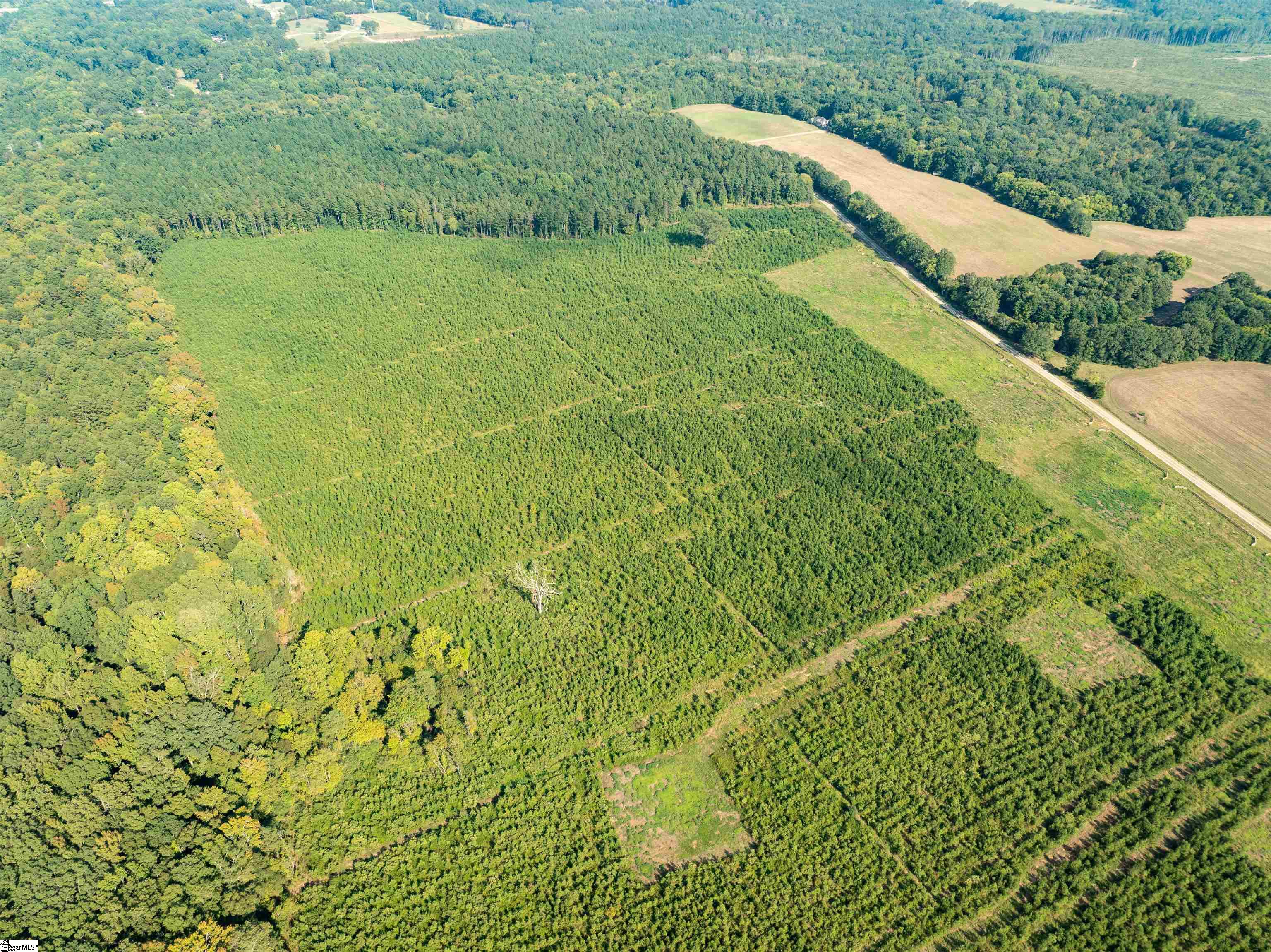 9 Young Road Clinton, SC 29325 - Photo 21 of 23