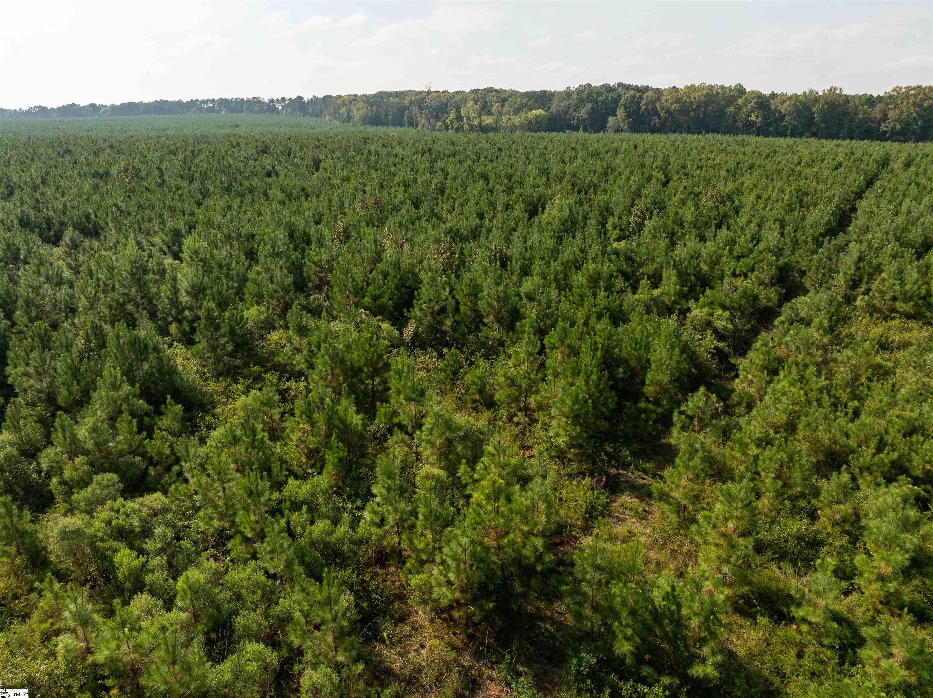 9 Young Road Clinton, SC 29325 - Photo 7 of 23