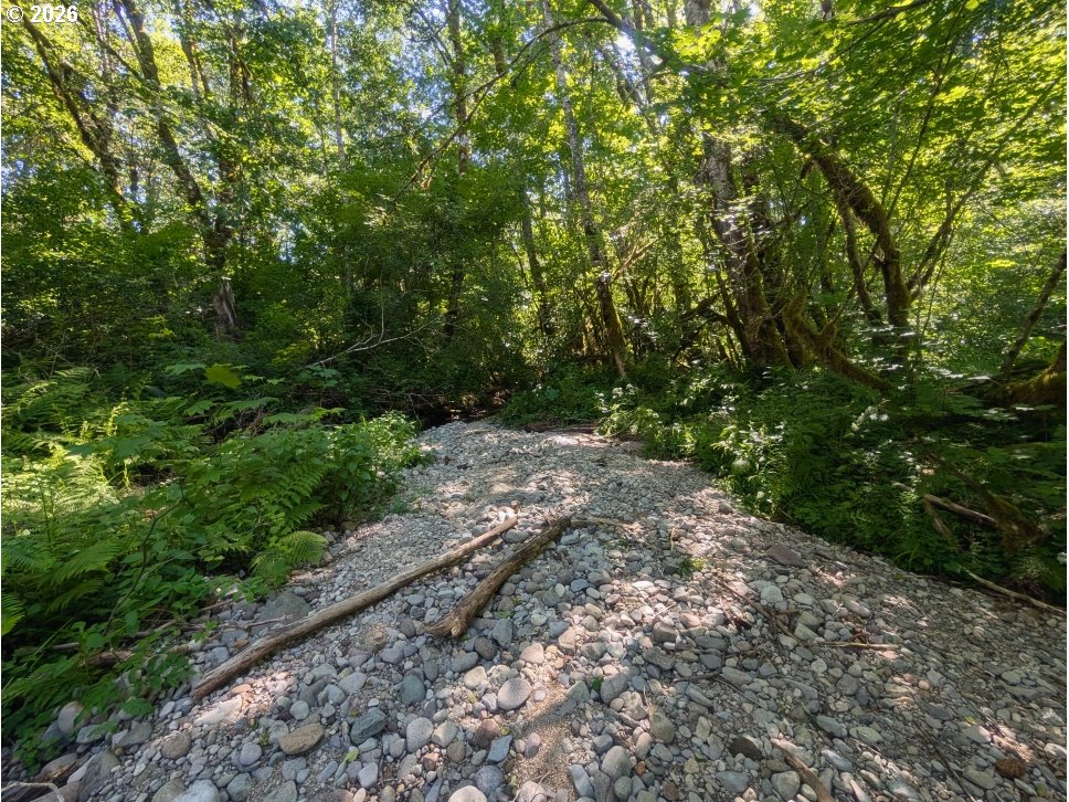 20284 East Carnarvon Road Rhododendron, OR 97049 - Photo 11 of 17