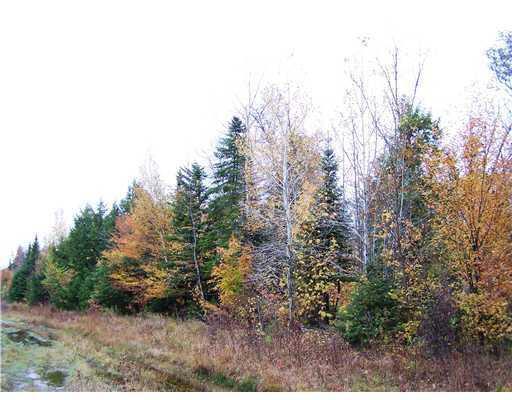 700 Butterfield Ridge Road Lincoln, ME 04457 - Photo 7 of 12 Land/Lot.