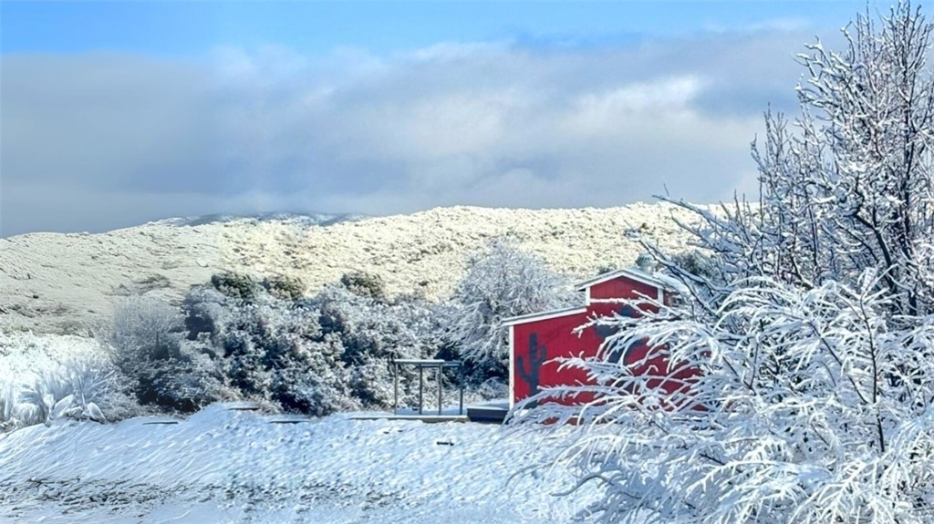 29820 Chihuahua Valley Road Warner Springs, CA 92086 - Photo 2 of 75 a view of a wooden floor with a dry yard