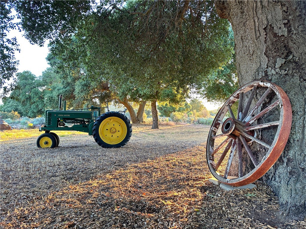 29820 Chihuahua Valley Road Warner Springs, CA 92086 - Photo 23 of 75