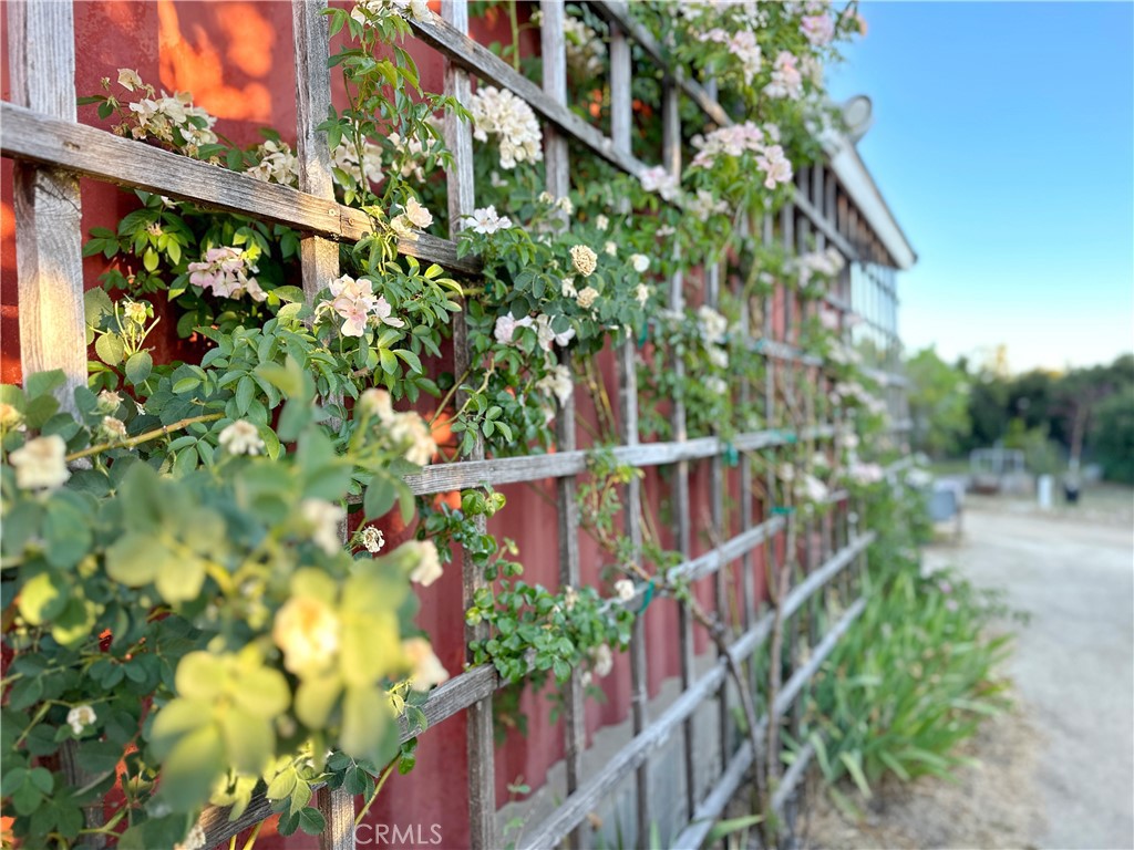 29820 Chihuahua Valley Road Warner Springs, CA 92086 - Photo 27 of 75