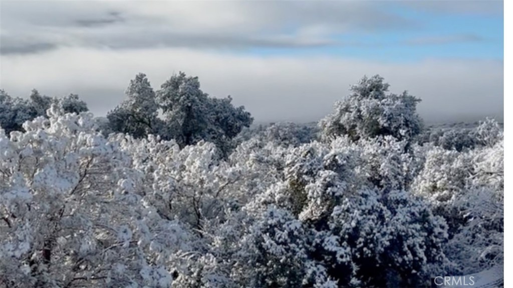 29820 Chihuahua Valley Road Warner Springs, CA 92086 - Photo 4 of 75