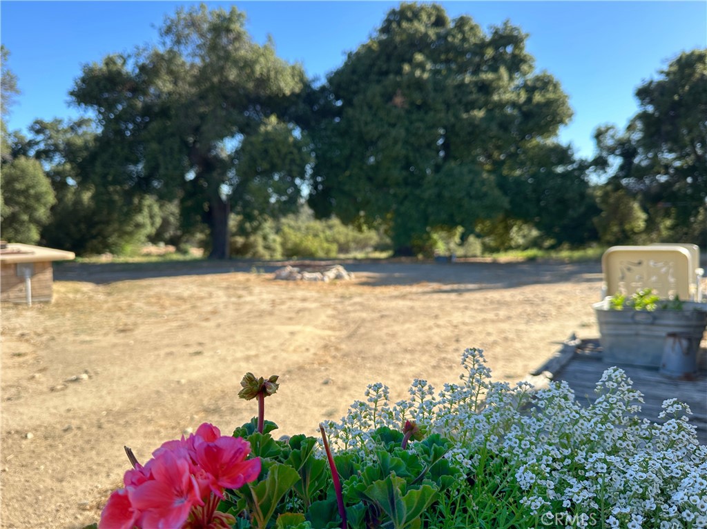 29820 Chihuahua Valley Road Warner Springs, CA 92086 - Photo 48 of 75 a view of a yard with an outdoor space