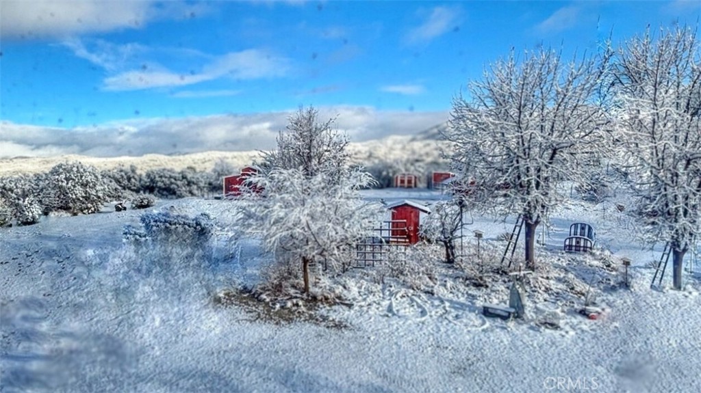 29820 Chihuahua Valley Road Warner Springs, CA 92086 - Photo 5 of 75