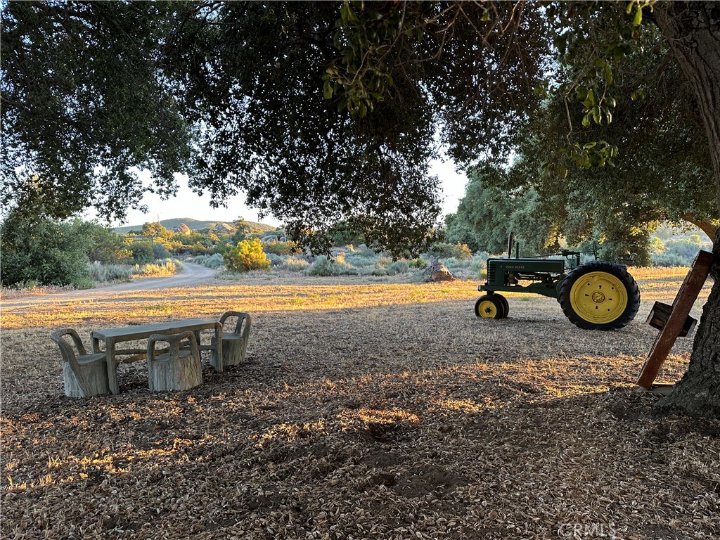 29820 Chihuahua Valley Road Warner Springs, CA 92086 - Photo 67 of 75 a view of a yard with an outdoor space