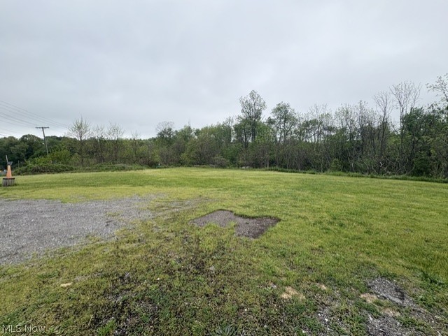 152 State Route Dillonvale, OH 43917 - Photo 3 of 8