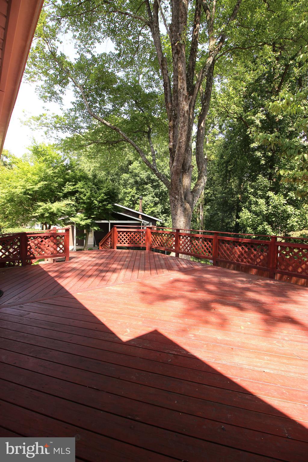 6211 Duntley Court Springfield, VA 22152 - Photo 44 of 53