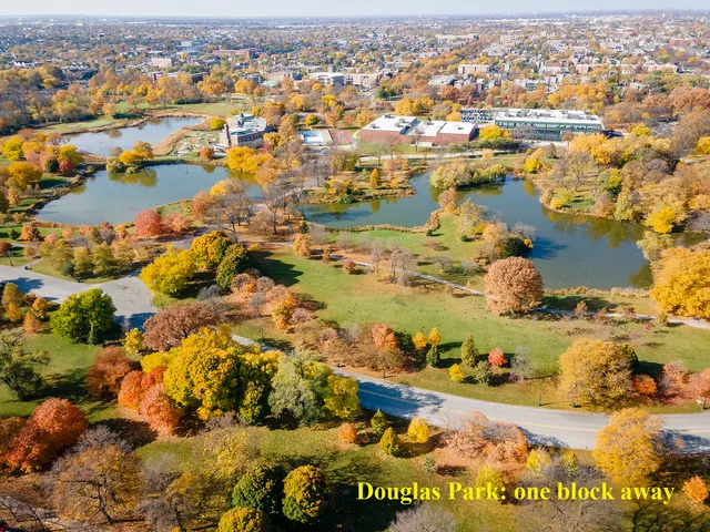 $1,600 | 1306 South Fairfield Avenue, Unit 2, Chicago, IL 60608