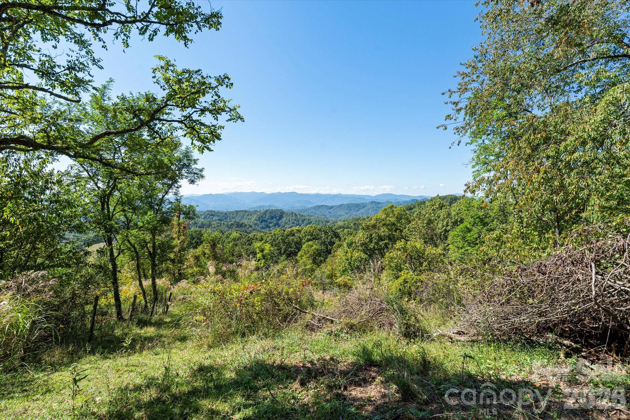 1623 Ammons Branch Road Marshall, NC 28753 - Photo 24 of 41 Gallery Image 24