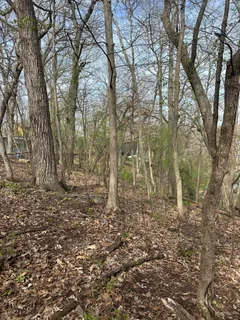 $299,000 | Lt123 Oak Lane, Unit LT124, La Grange, WI 53121