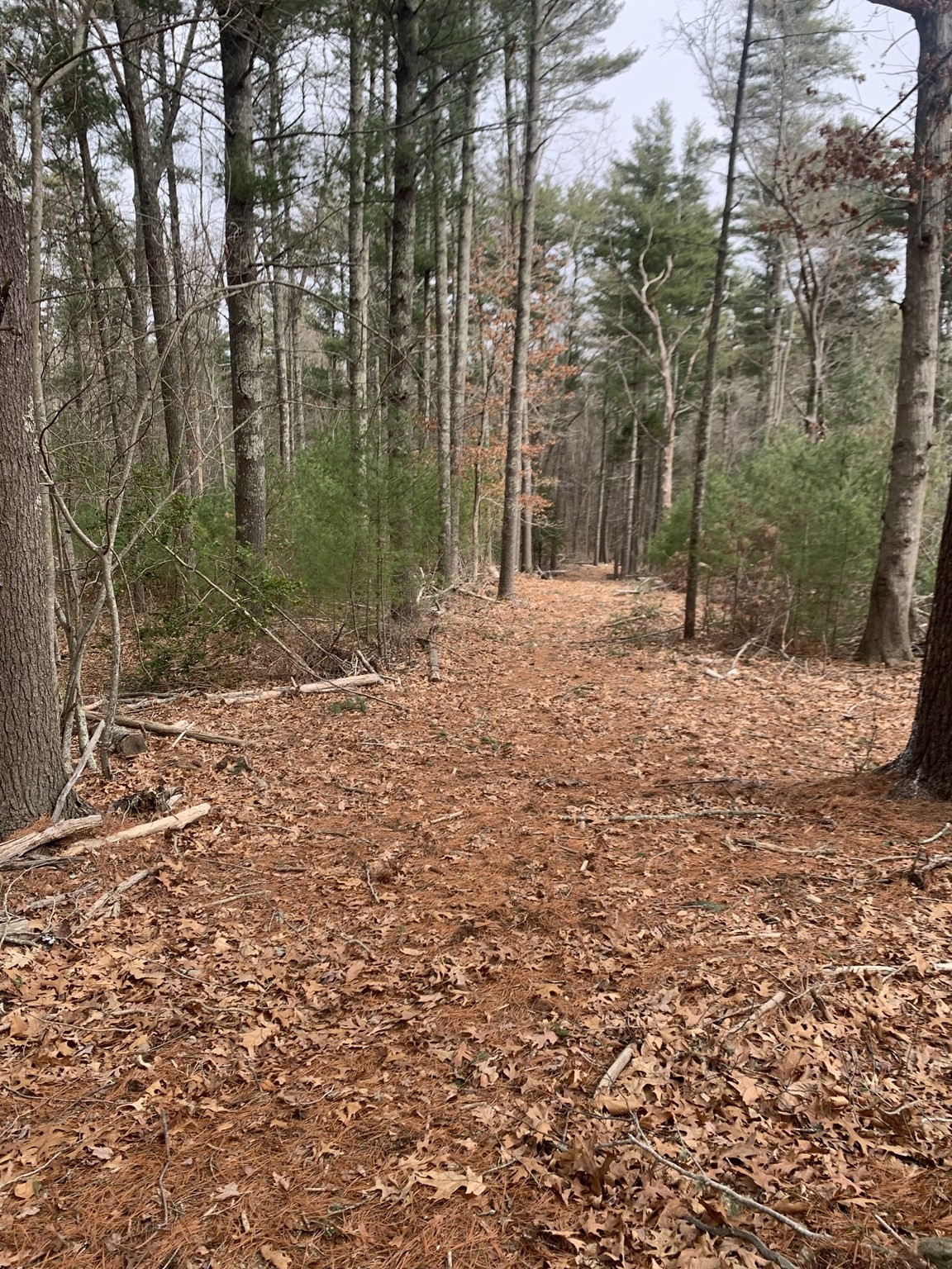 0 Snipatuit Road Rochester, MA 02770 - Photo 1 of 3 Gallery Image 1