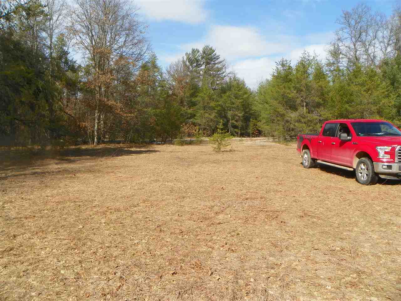 Tbd Tbd Pine Marion, MI 49665 - Photo 9 of 18