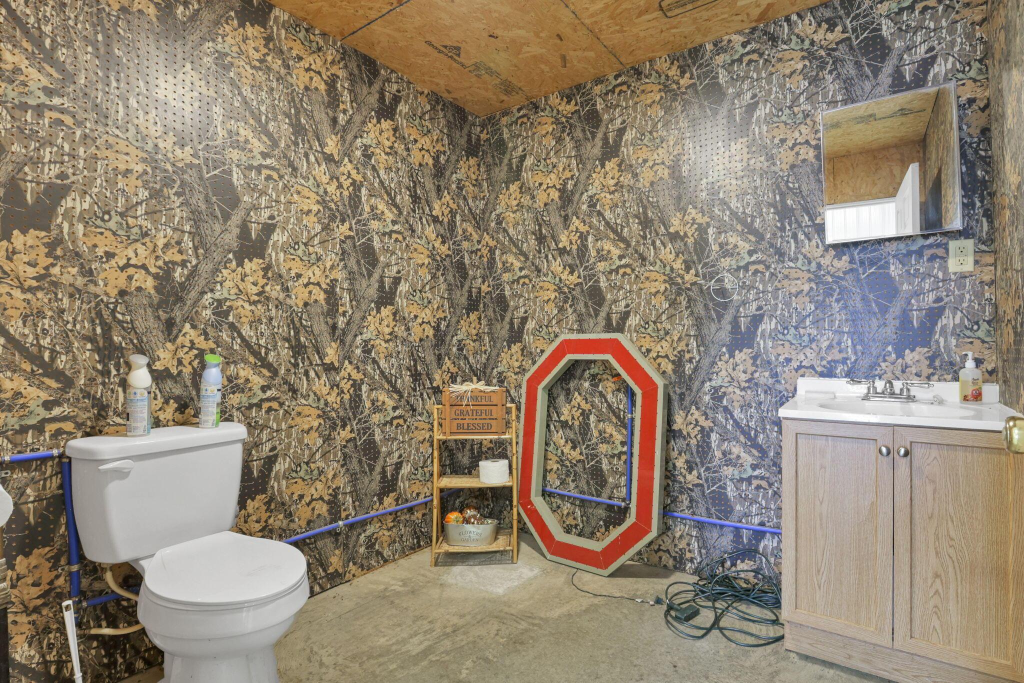 3982 Green Road Northeast Somerset, OH 43783 - Photo 35 of 57 37-web-or-mls-0V3A2029