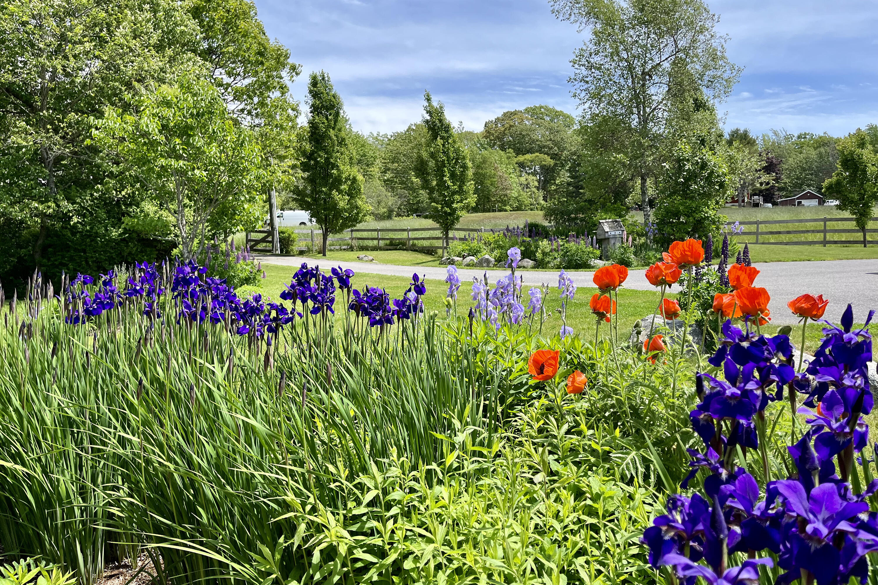 17 Spring Street South Thomaston, ME 04858 - Photo 34 of 39 IMG_0066
