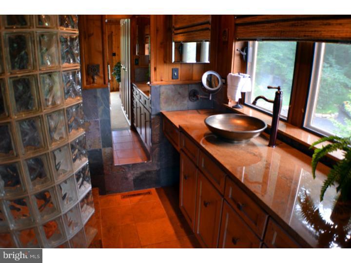 292 Thompson Mill Road New Hope, PA 18938 - Photo 12 of 25 Master Bathroom