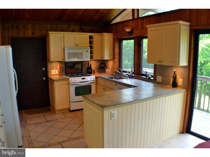 292 Thompson Mill Road New Hope, PA 18938 - Photo 20 of 25 Kitchen