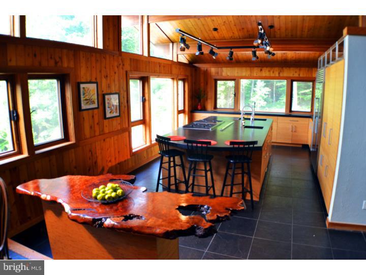292 Thompson Mill Road New Hope, PA 18938 - Photo 3 of 25 Kitchen