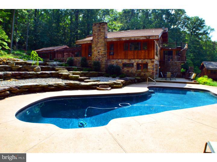 292 Thompson Mill Road New Hope, PA 18938 - Photo 22 of 25 Pool