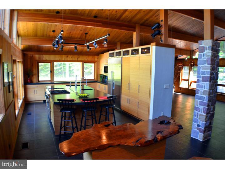 292 Thompson Mill Road New Hope, PA 18938 - Photo 6 of 25 Kitchen