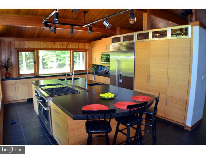 292 Thompson Mill Road New Hope, PA 18938 - Photo 7 of 25 Kitchen
