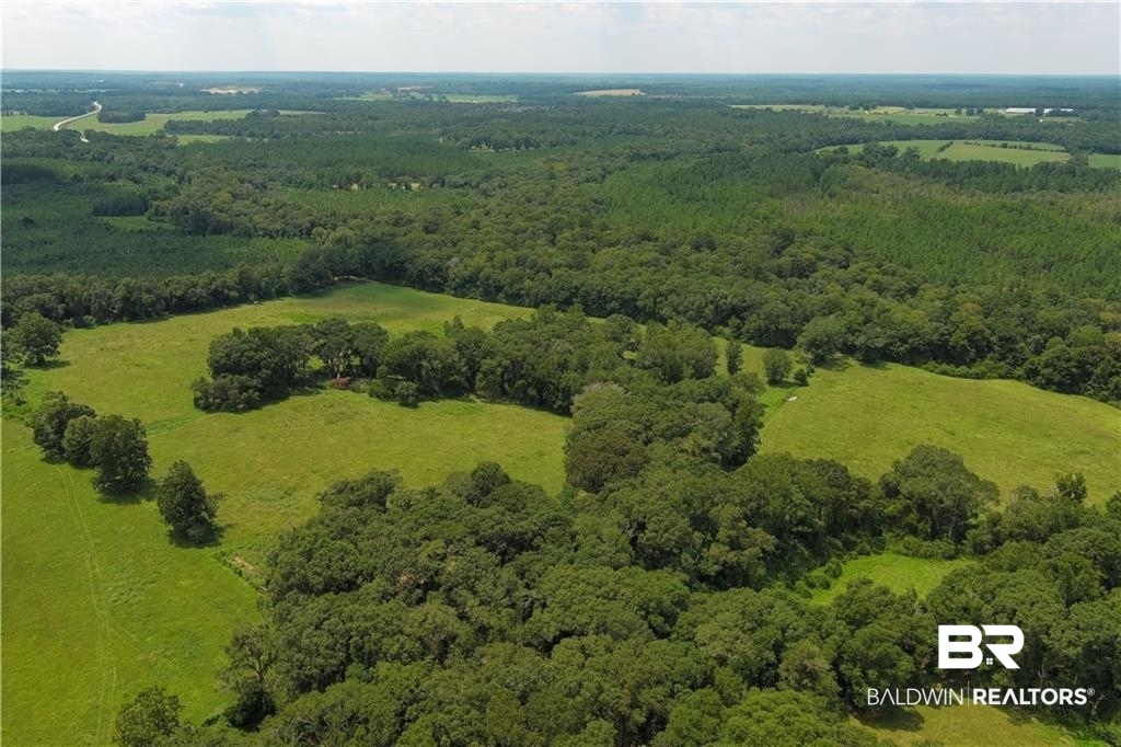 0 Circle R Farm Drive Florala, AL 36442 - Photo 15 of 25