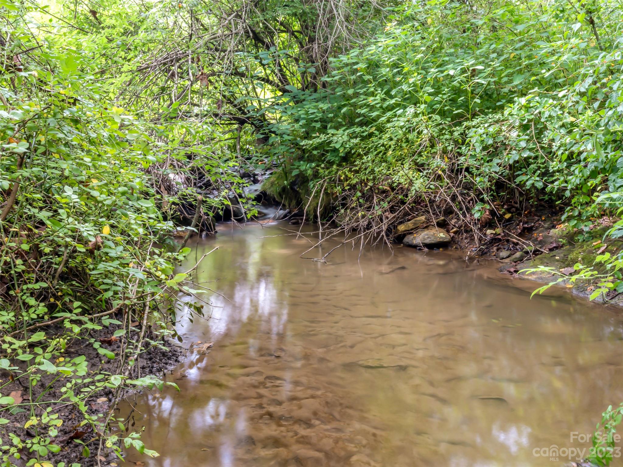 309 Sugar Creek Road Leicester, NC 28748 - Photo 15 of 23
