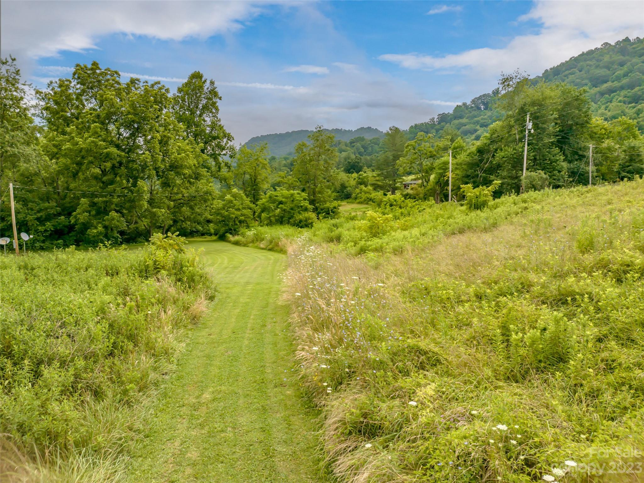 309 Sugar Creek Road Leicester, NC 28748 - Photo 6 of 23 a view of yard with green space