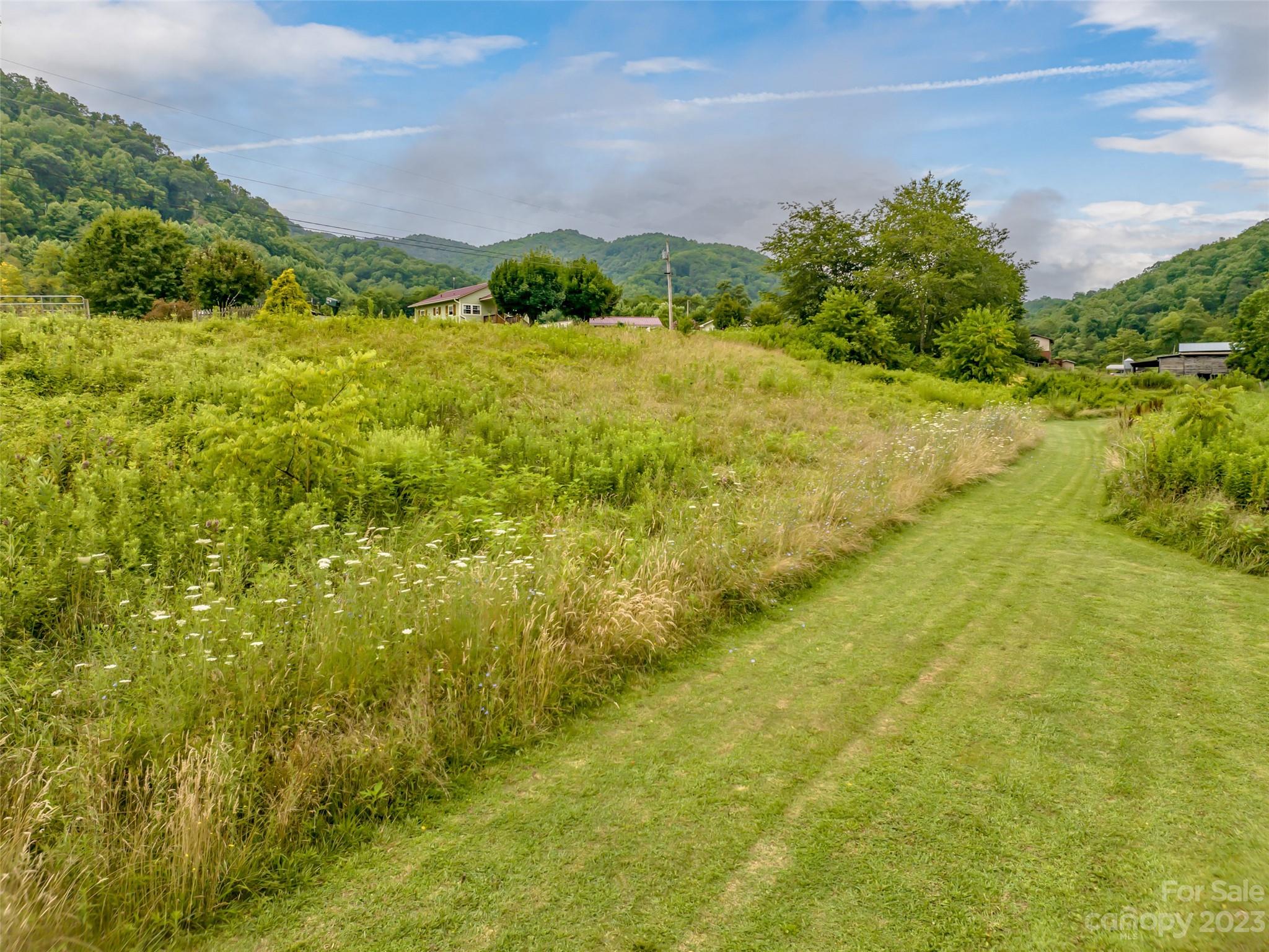 309 Sugar Creek Road Leicester, NC 28748 - Photo 7 of 23 a view of a large yard with lots of green space